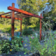 Community Garden @Blue Heron Nature Preserve
