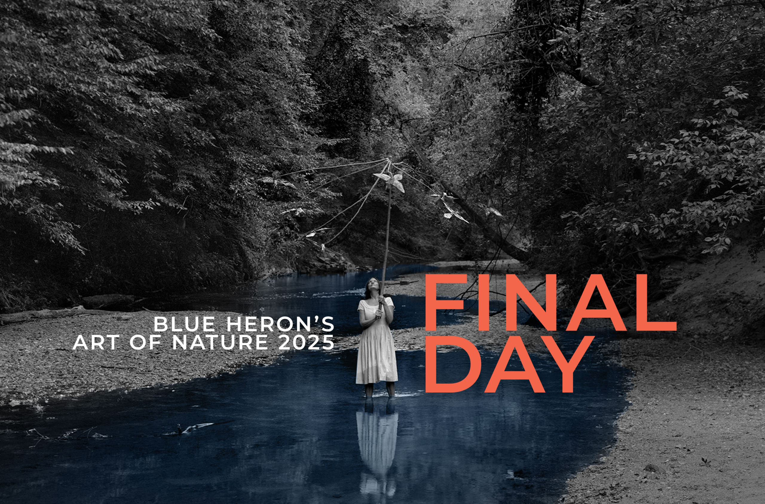 Art of Nature Final Open Day